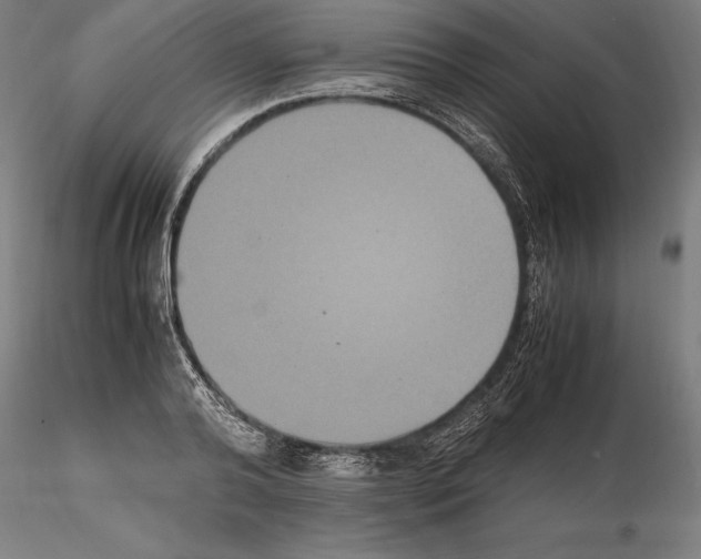 X0000114620792200912011000