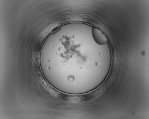 X0000114620793200912011000