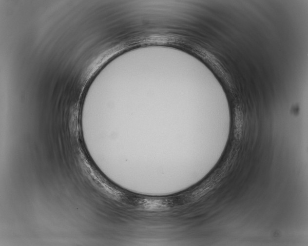 X0000114620794200912011000