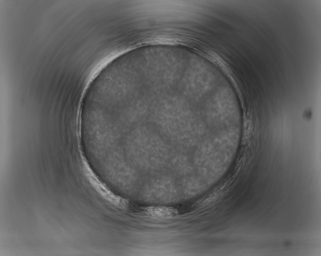 X0000114620795200912011000