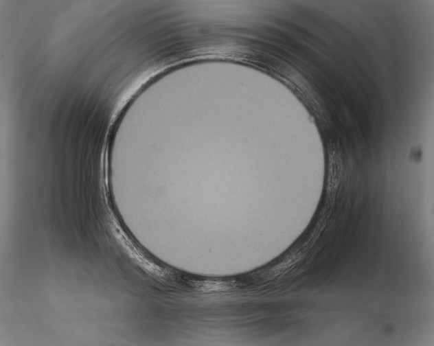 X0000114620796200912011000