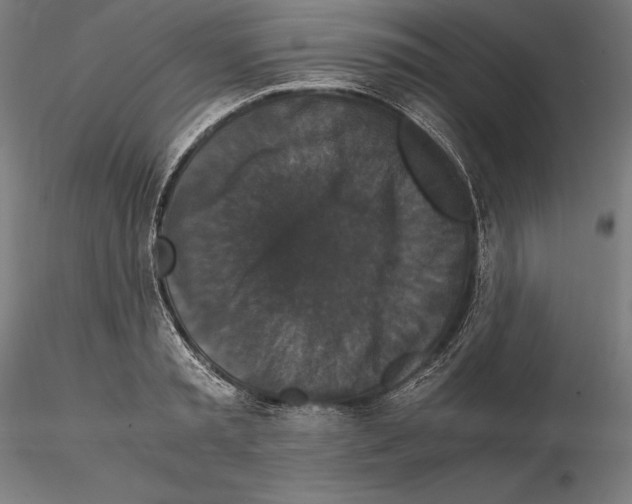 X0000114620797200912011000