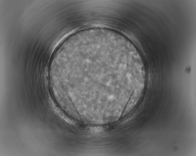 X0000114620798200912011000