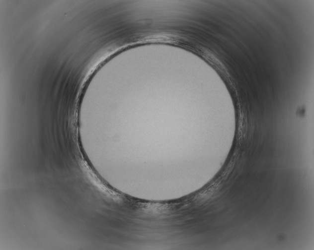 X0000114620800200912011000