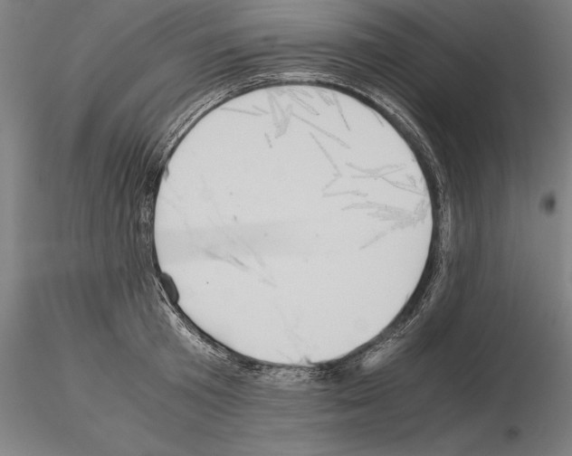 X0000114620801200912011000