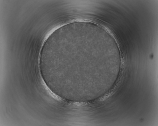 X0000114620803200912011000