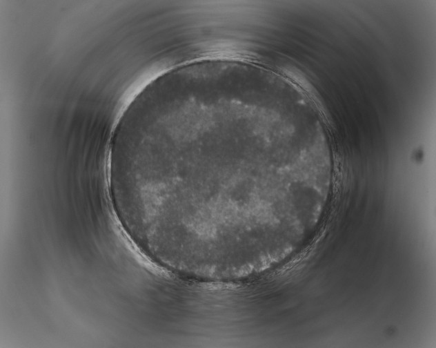 X0000114620804200912011000