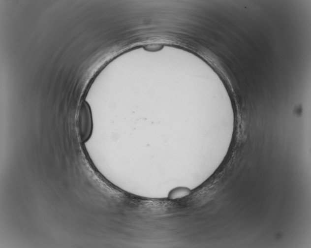 X0000114620805200912011000