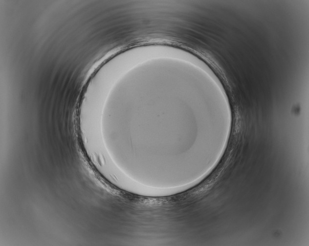 X0000114620806200912011000