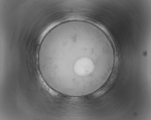 X0000114620807200912011000