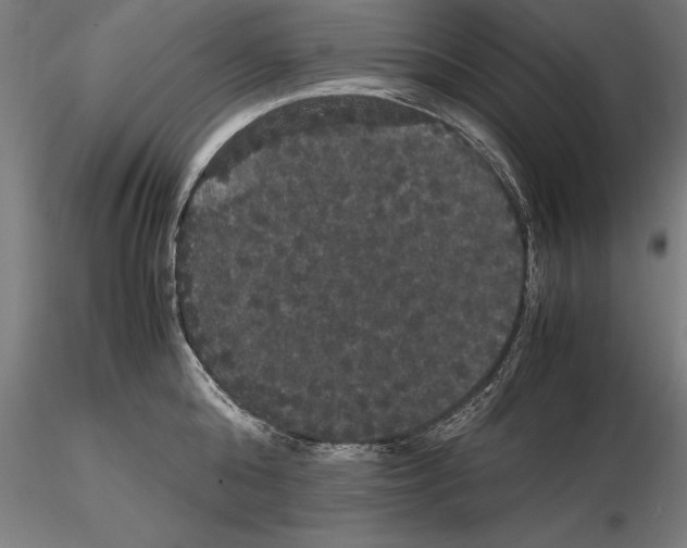 X0000114620808200912011000