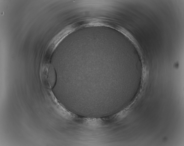 X0000114620809200912011000