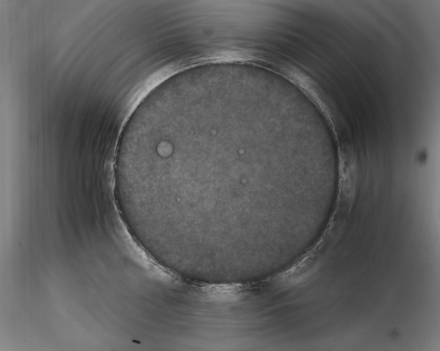 X0000114620810200912011000