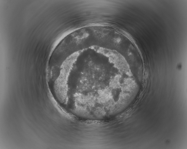 X0000114620811200912011000