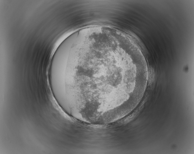 X0000114620812200912011000