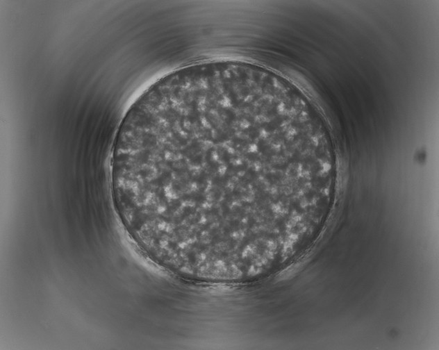 X0000114620814200912011000