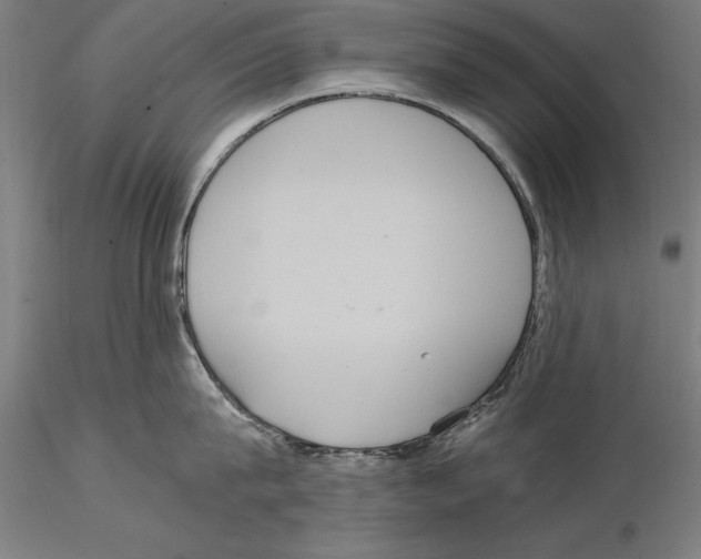 X0000114620815200912010959