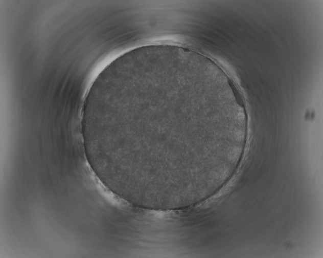 X0000114620816200912010959