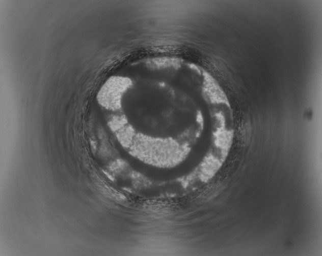 X0000114620817200912010959