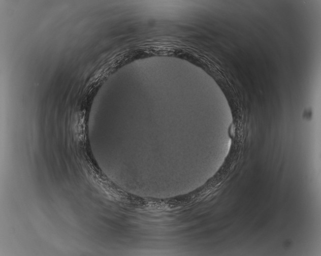 X0000114620818200912010959