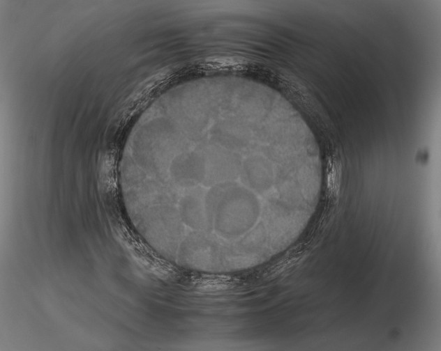 X0000114620819200912010959