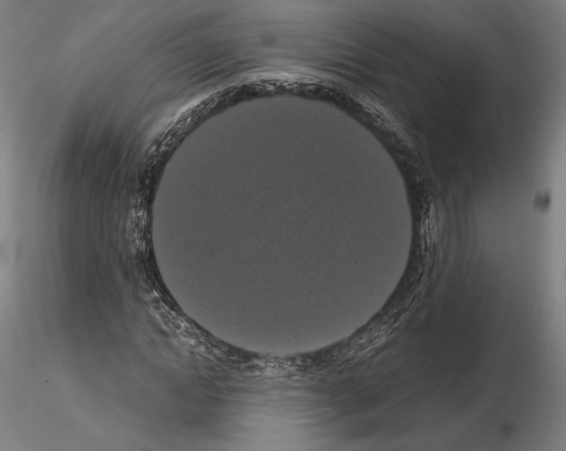 X0000114620822200912010959