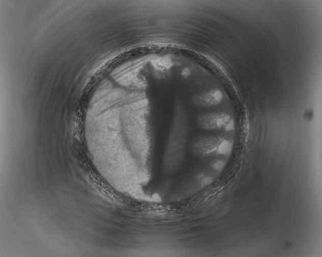 X0000114620823200912010959