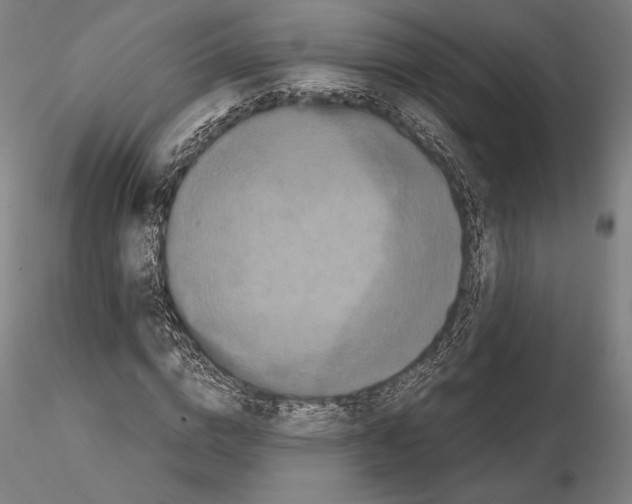 X0000114620824200912010959