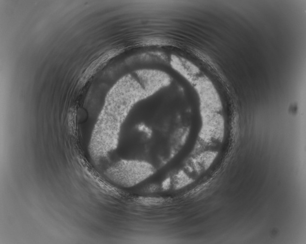 X0000114620825200912010959