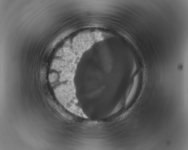 X0000114620826200912010959