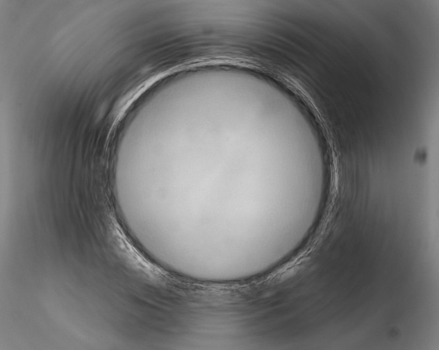 X0000114620828200912010959