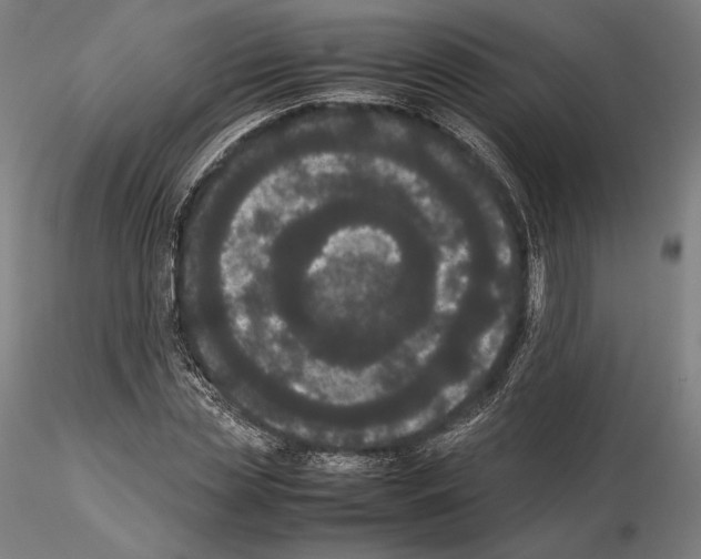 X0000114620829200912010959