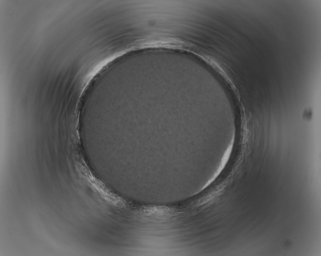 X0000114620830200912010959