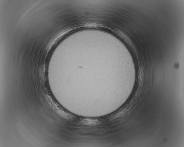 X0000114620831200912010959