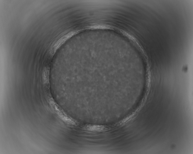 X0000114620833200912010959