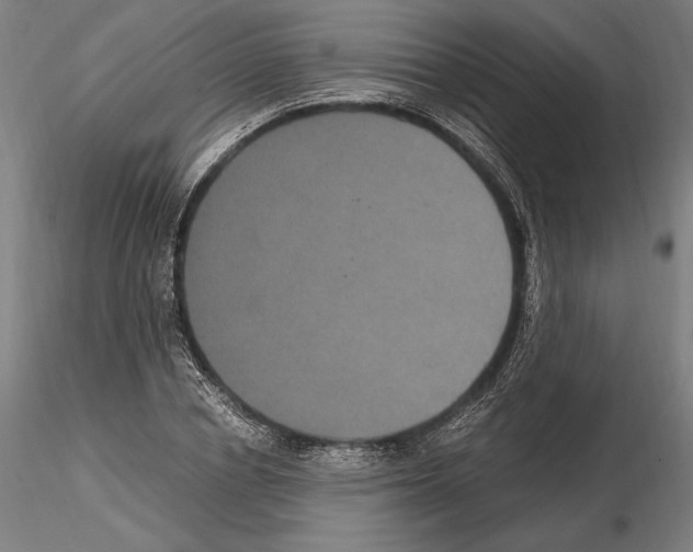 X0000114620834200912010959