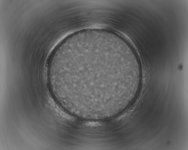 X0000114620835200912010959