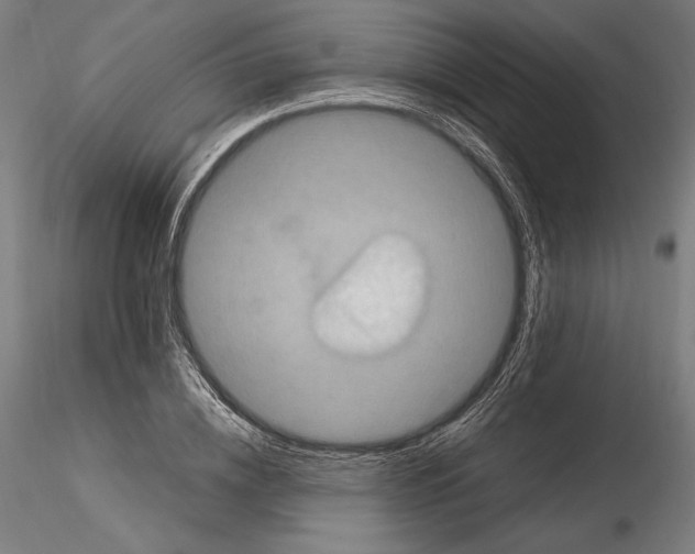 X0000114620836200912010959