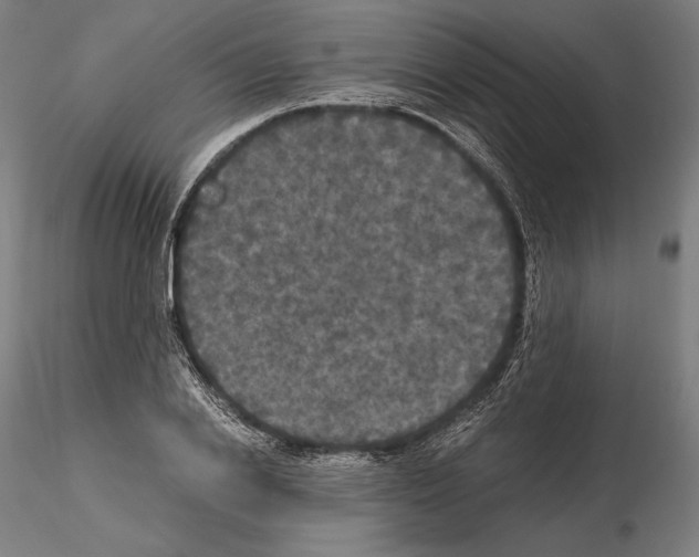 X0000114620838200912010959