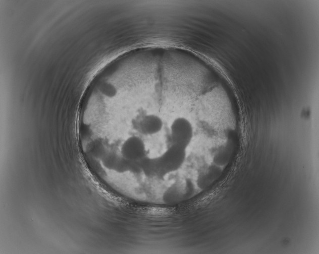 X0000114620839200912010959