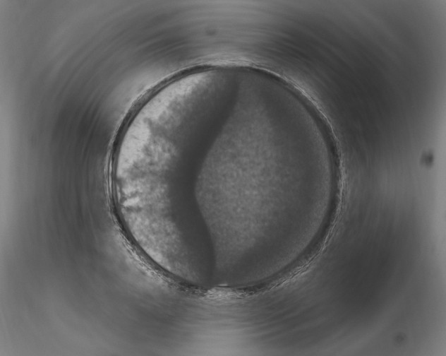 X0000114620840200912010959