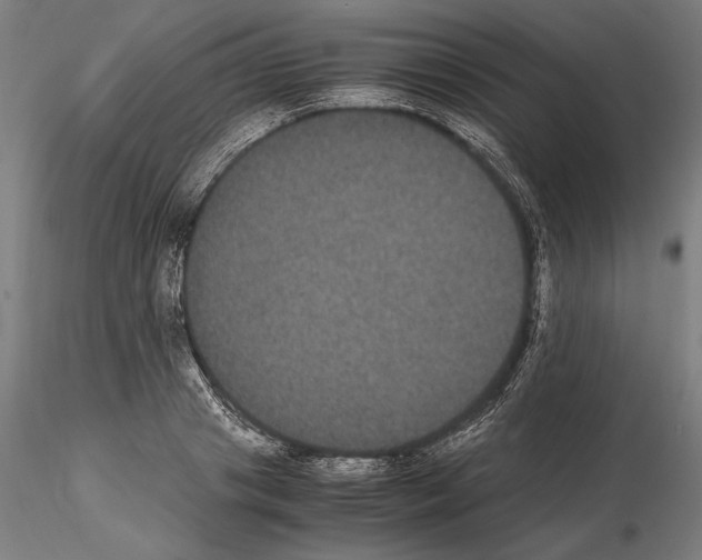 X0000114620841200912010959