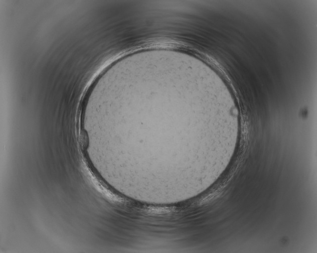 X0000114620843200912010959