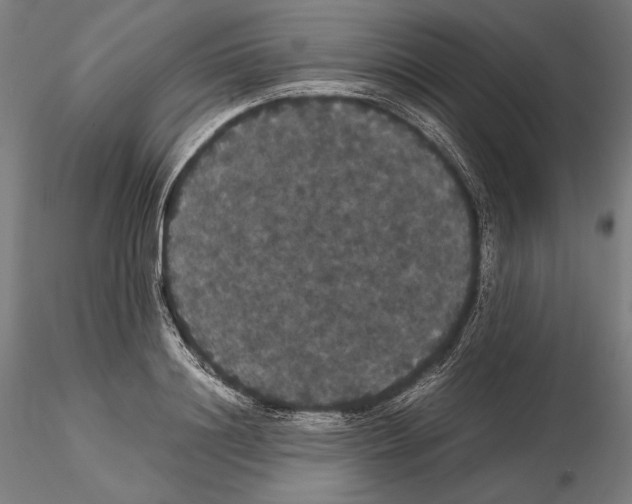 X0000114620844200912010959