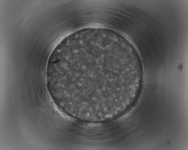 X0000114620845200912010959