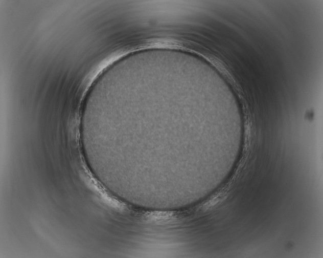 X0000114620846200912010959