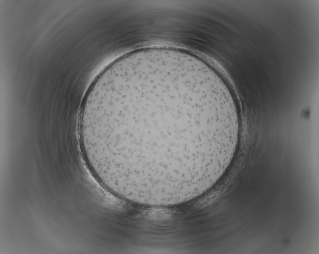 X0000114620847200912010959