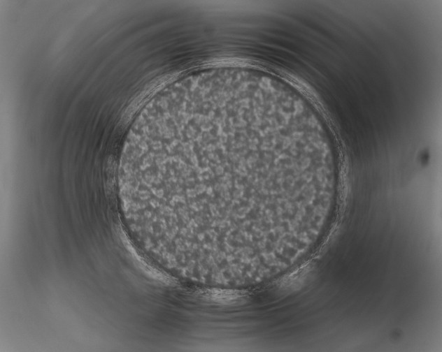 X0000114620849200912010959