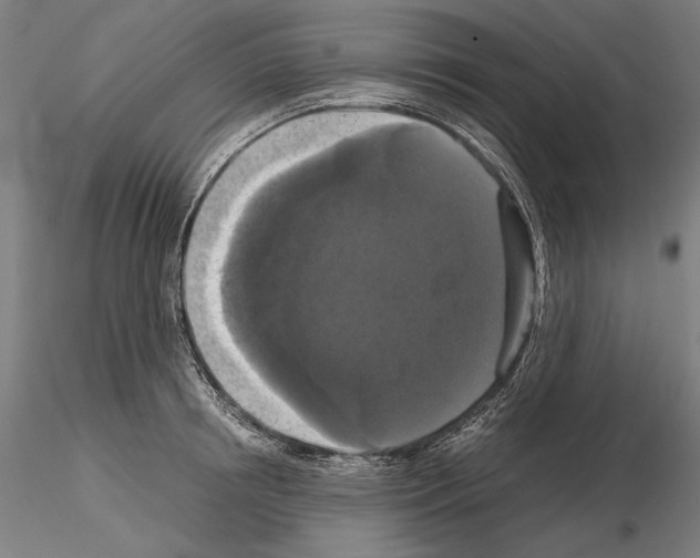 X0000114620850200912010959