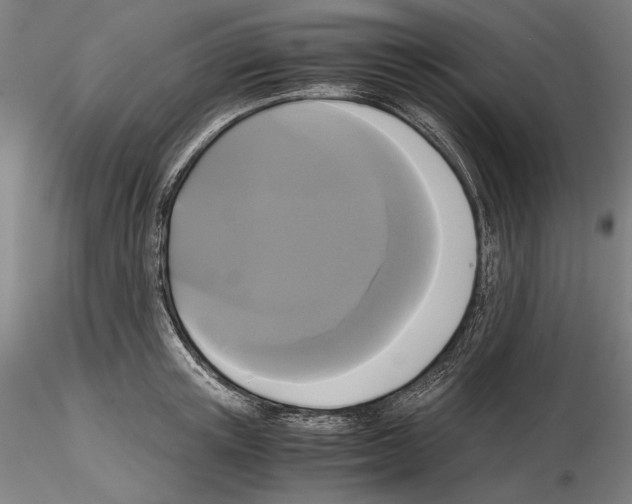 X0000114620851200912010959